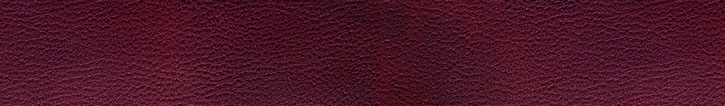 burgundy leather